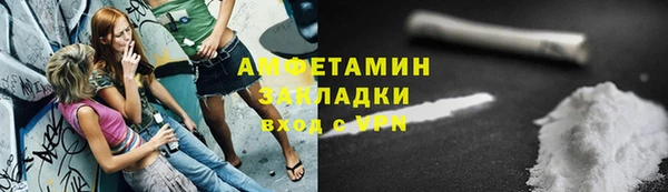 PSILOCYBIN Майский