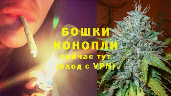 PSILOCYBIN Майский
