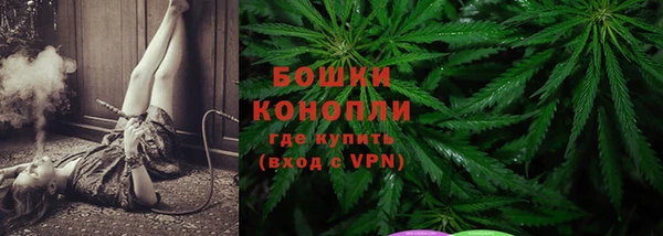PSILOCYBIN Майский