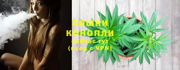 PSILOCYBIN Майский