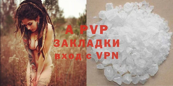 PSILOCYBIN Майский