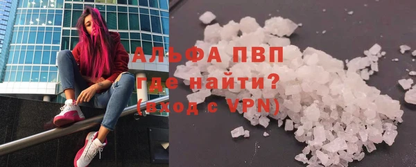 PSILOCYBIN Майский