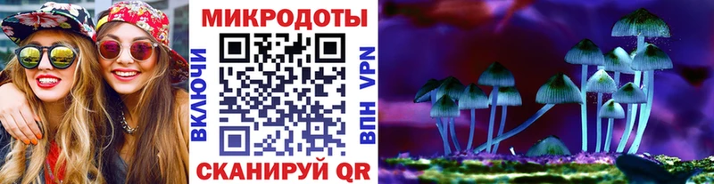 Галлюциногенные грибы мухоморы  где продают наркотики  Зарайск 